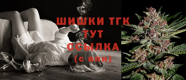 apvp Бородино