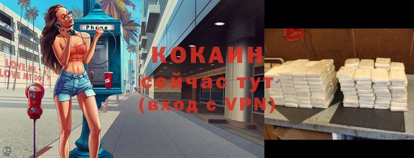apvp Бородино