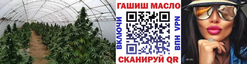 магазин продажи   Томмот  Дистиллят ТГК гашишное масло 